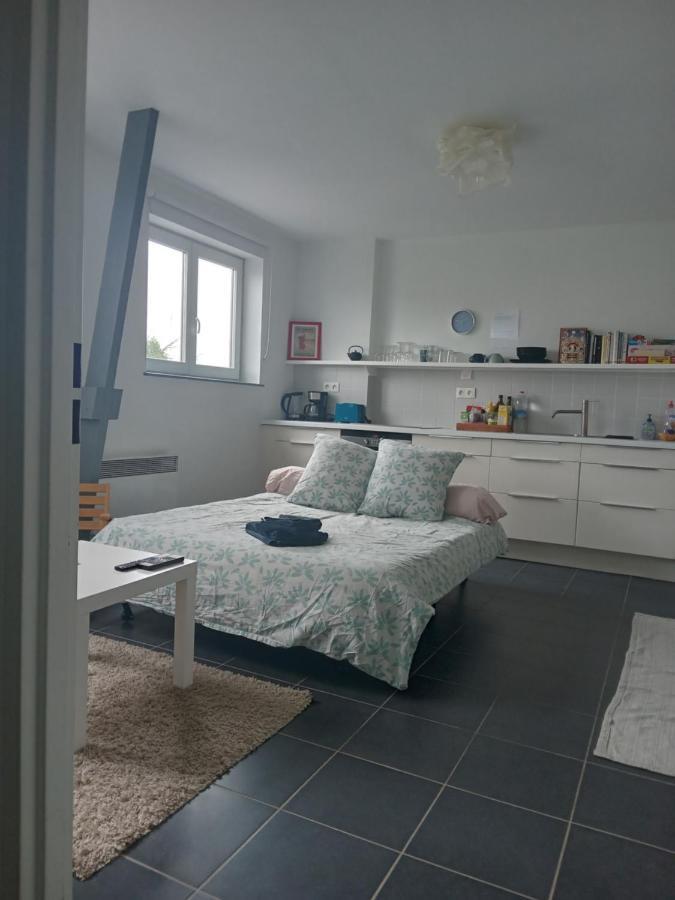 Roubaix Pres Lille, Un Cocon En Plein Centre Apartment Luaran gambar